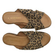 Unisex Andiamo - Rihmikud, suurus 37 - Pruun ()